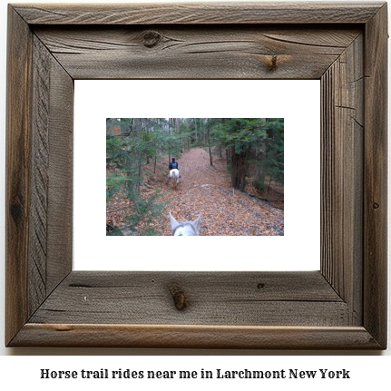 horse trail rides near me in Larchmont, New York